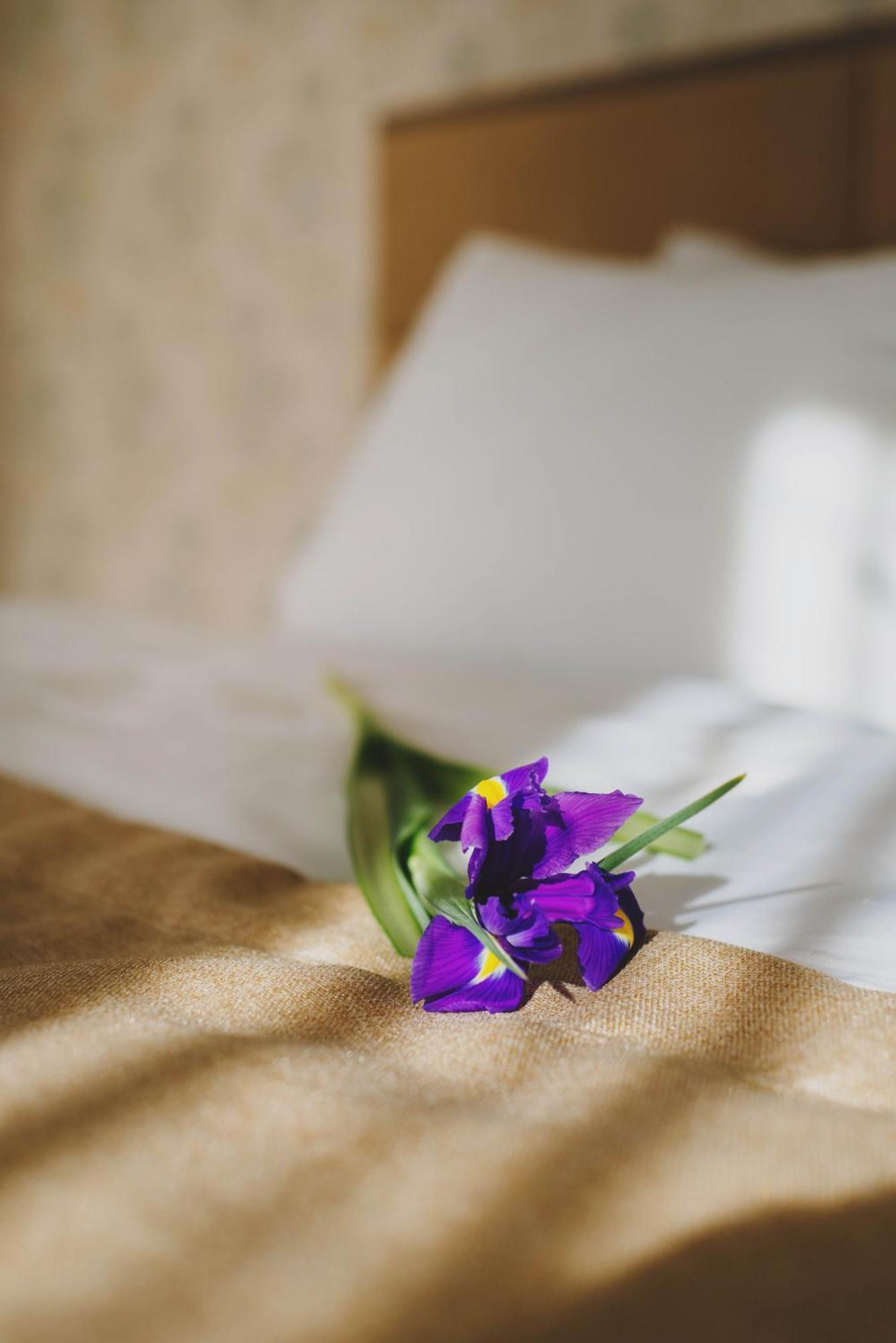 טרוסקבץ Hotel Alkor חדר תמונה